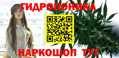 соль курить ск Кингисепп