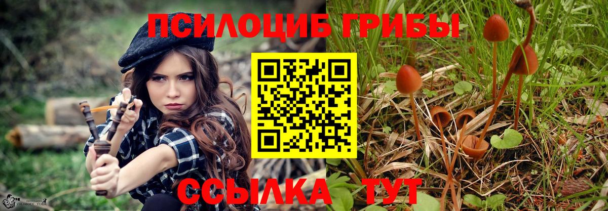Псилоцибиновые грибы мицелий Котовск