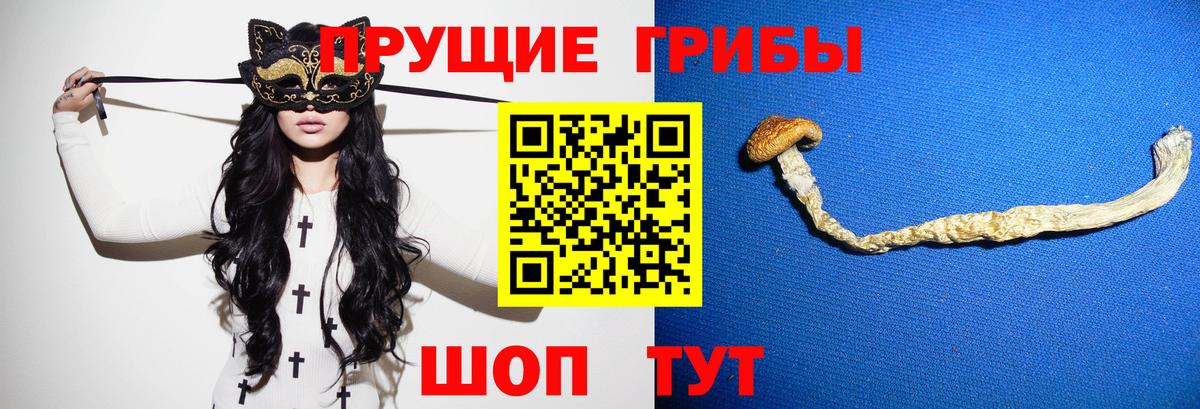Псилоцибиновые грибы мухоморы  Вход с VPN  Котовск 